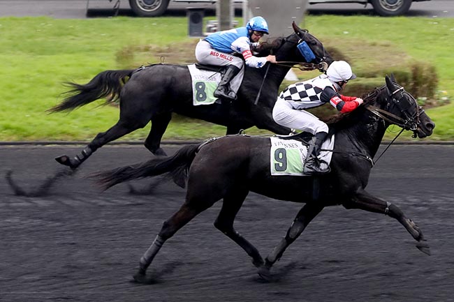 La Photo De L Arriv E Du Prix De Carpentras Course Pmu Du Mardi