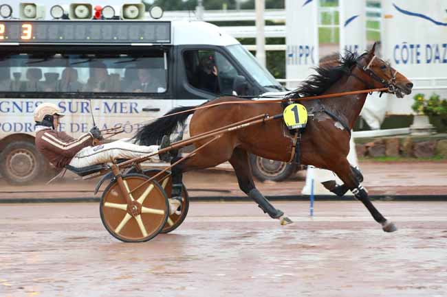 La Photo De L Arriv E Du Prix Houston Laukko Course Pmu Du Mercredi