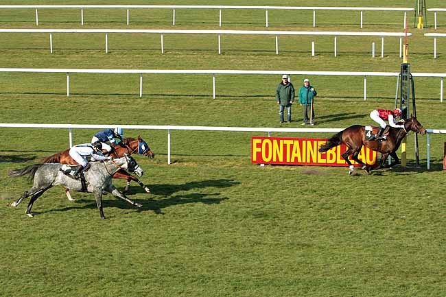 Arrivée quinté pmu PRIX DE L'IMPERATRICE EUGENIE à FONTAINEBLEAU