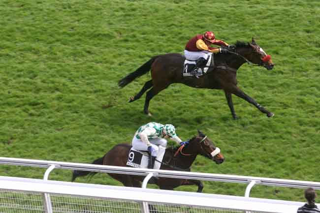 Arrivée quinté pmu PRIX HUBERT DE NAVAILLES à AUTEUIL