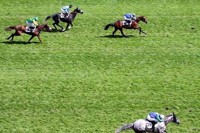 Arrivée quinté pmu PRIX RENE PELAT à AUTEUIL