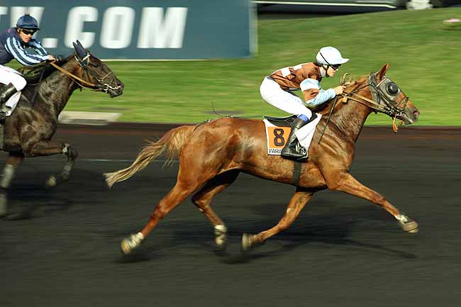 Arrivée quinté pmu PRIX TYCHE à PARIS-VINCENNES