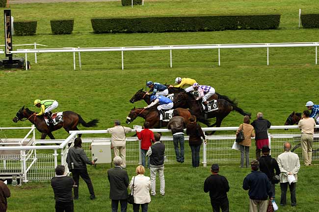 Arrivée quinté pmu PRIX DE LA DAME BLANCHE (PRIX DES BOUTONS D'OR) à CLAIREFONTAINE