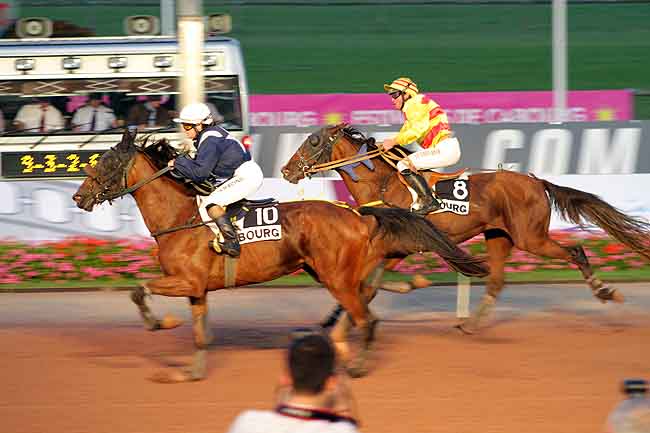 Arrivée quinté pmu PRIX DES GLYCINES à CABOURG