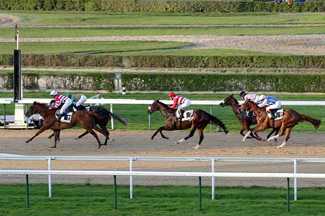 Arrivée quinté pmu PRIX DE MARIVEL à DEAUVILLE