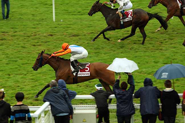 Arrivée quinté pmu PRIX ASSOCIATION CONDUIRE POUR LA VIE (PRIX DU GRAND JARDIN) à CLAIREFONTAINE