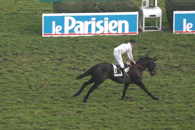 Arrivée quinté pmu PRIX BERNARD DE DUFAU à AUTEUIL