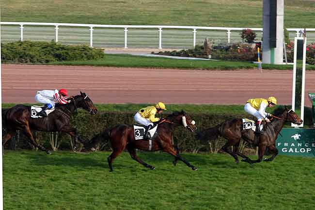 Arrivée quinté pmu PRIX DE CRAON à ENGHIEN