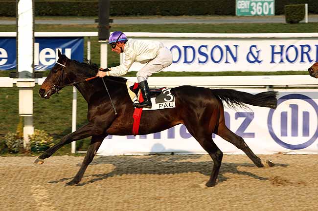 Arrivée quinté pmu PRIX SAINTE-EULALIE à PAU