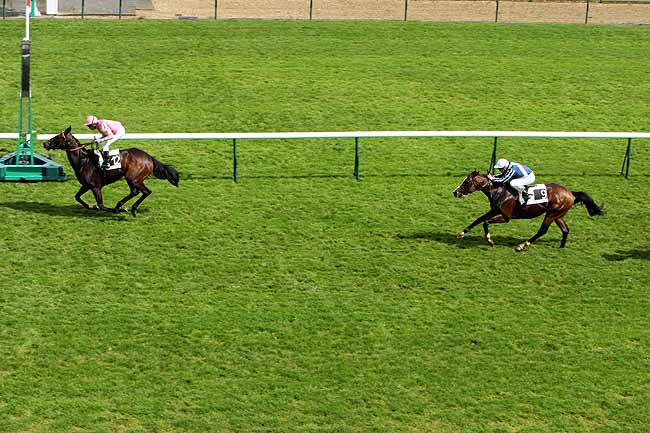 Arrivée quinté pmu PRIX DU QUAI AUX FLEURS à LONGCHAMP