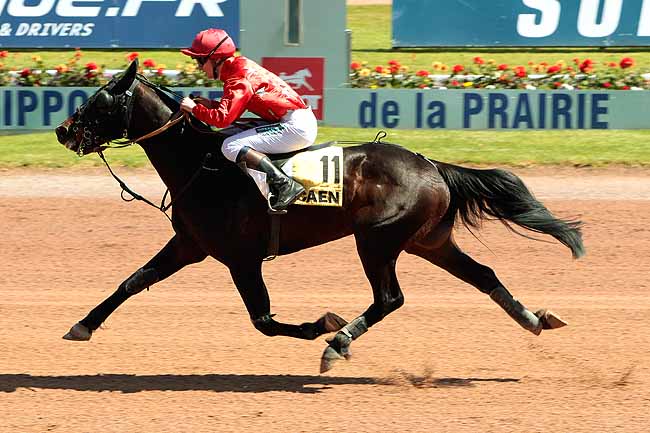 Arrivée quinté pmu SAINT-LEGER DES TROTTEURS à CAEN