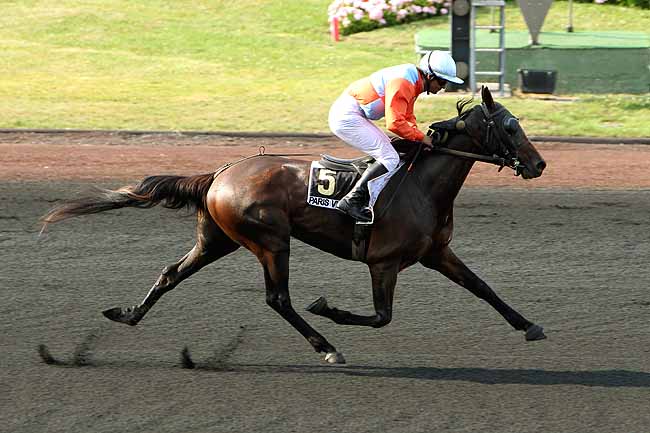 Arrivée quinté pmu PRIX KOZYR à PARIS-VINCENNES