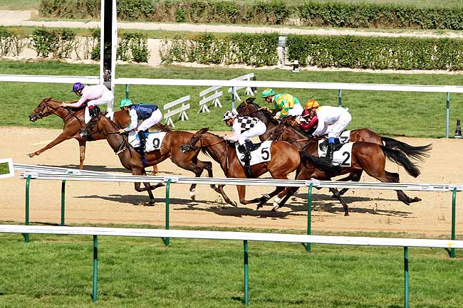 Arrivée quinté pmu PRIX DE L'ARRIERE PAYS à DEAUVILLE