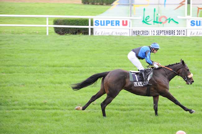 Arrivée quinté pmu PRIX OLIVIER D'ANDIGNE à LE LION D'ANGERS