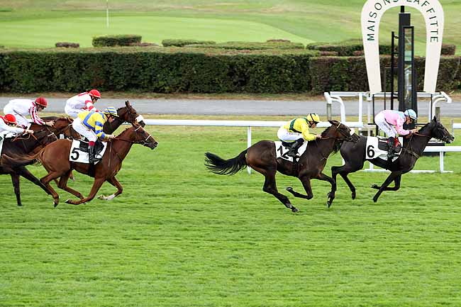 Arrivée quinté pmu PRIX DE MAISONS-SUR-SEINE à MAISONS-LAFFITTE