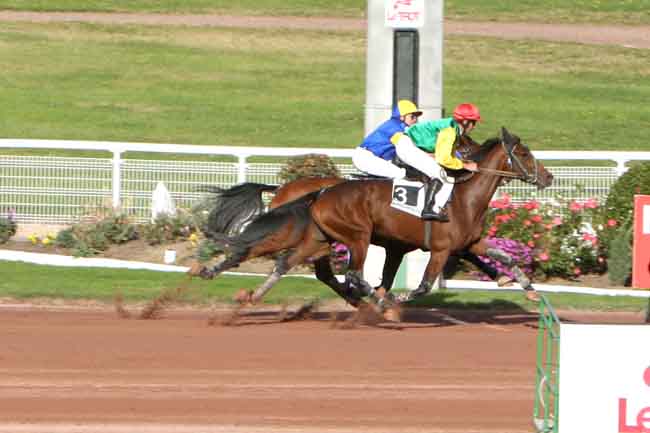 Arrivée quinté pmu PRIX DE REUILLY à ENGHIEN