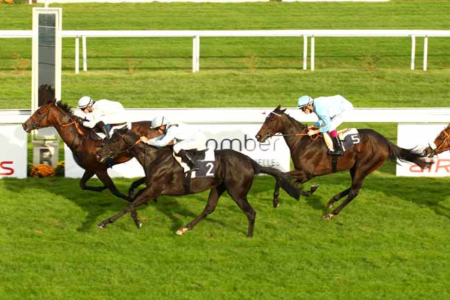 Arrivée quinté pmu PRIX COLONEL REGLADE à BORDEAUX-LE BOUSCAT