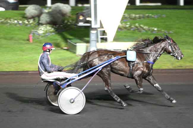 Arrivée quinté pmu PRIX DE CANCALE à PARIS-VINCENNES