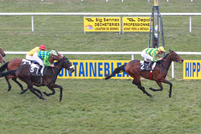 Arrivée quinté pmu PRIX DE MONTEREAU à FONTAINEBLEAU