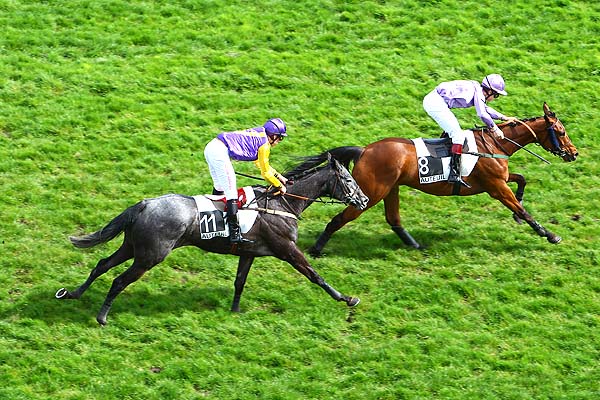 Arrivée quinté pmu PRIX LA BELLE FERRONNIERE à AUTEUIL