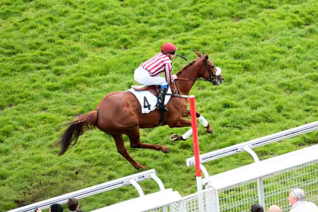 Arrivée quinté pmu PRIX GIROFLA à AUTEUIL