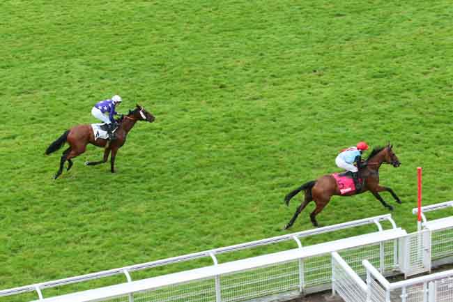 Arrivée quinté pmu PRIX DANIEL LESCALLE à AUTEUIL