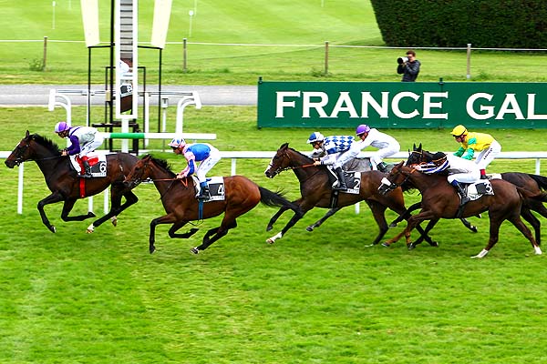 Arrivée quinté pmu PRIX RAMUS à MAISONS-LAFFITTE