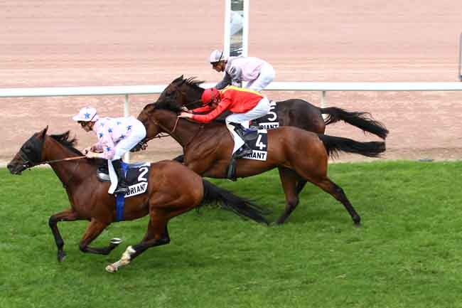 Arrivée quinté pmu PRIX DE SAINT-CLOUD à CHATEAUBRIANT