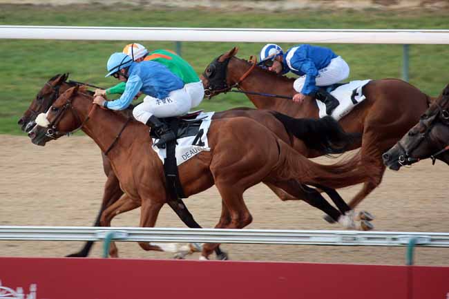 Arrivée quinté pmu PRIX DU HAMEL à DEAUVILLE