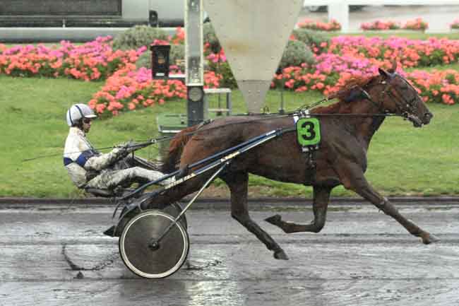 Arrivée quinté pmu PRIX DE SAINT-GAUDENS à PARIS-VINCENNES