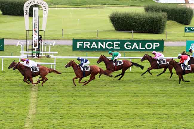 Arrivée quinté pmu PRIX AD ALTIORA à MAISONS-LAFFITTE