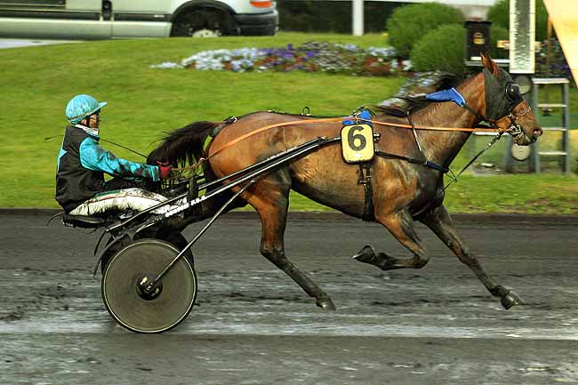 Arrivée quinté pmu PRIX ALTAIR à PARIS-VINCENNES