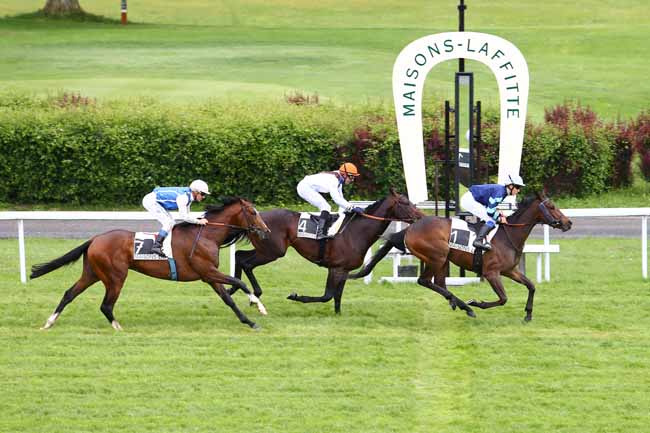 Arrivée quinté pmu PRIX DIATOME à MAISONS-LAFFITTE