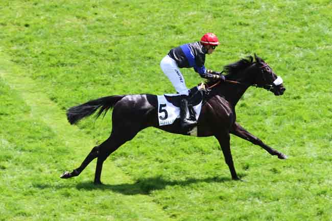 Arrivée quinté pmu PRIX CALDARIUM à AUTEUIL