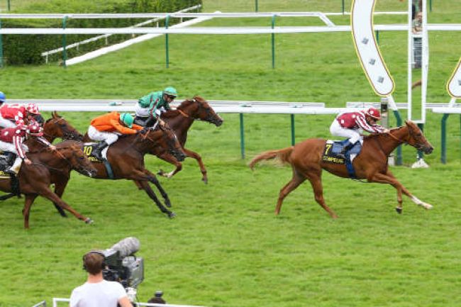 Arrivée quinté pmu PRIX DE VENETTE à COMPIEGNE