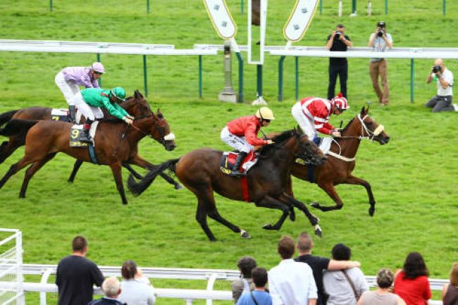 Arrivée quinté pmu PRIX GHISLAIN DELASSUS à COMPIEGNE