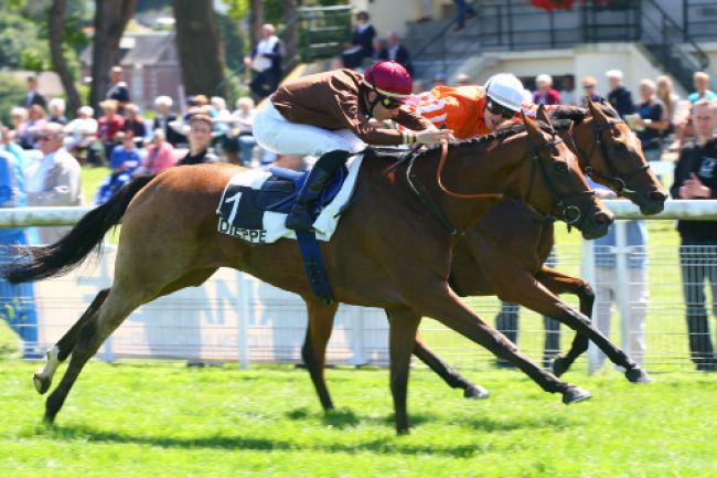 Arrivée quinté pmu PRIX VERRAZZANO à DIEPPE