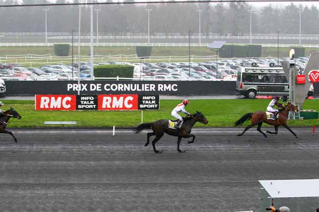 Photo d'arrivée de la course pmu PRIX DE CORNULIER - RMC à PARIS-VINCENNES le Dimanche 21 janvier 2018