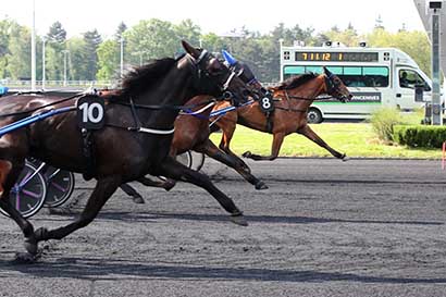 Arrivée quinté pmu PRIX AMBROSIA à PARIS-VINCENNES