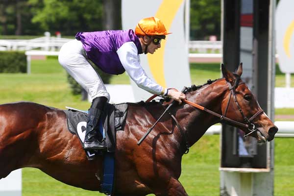 Photo d'arrivée de la course pmu PRIX RADIO SCOOP - PRIX PARC LOCMARIA à LYON PARILLY le Mercredi 8 mai 2024