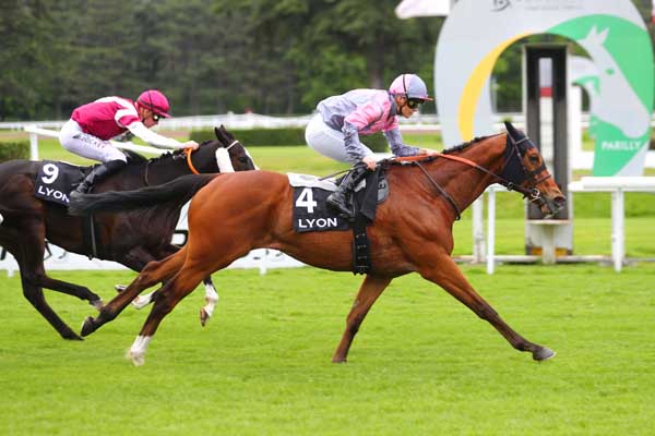 Photo d'arrivée de la course pmu PRIX LES 48H DU GALOP - PRIX DU PARC DES BERGES DU RHONE à LYON PARILLY le Mercredi 8 mai 2024