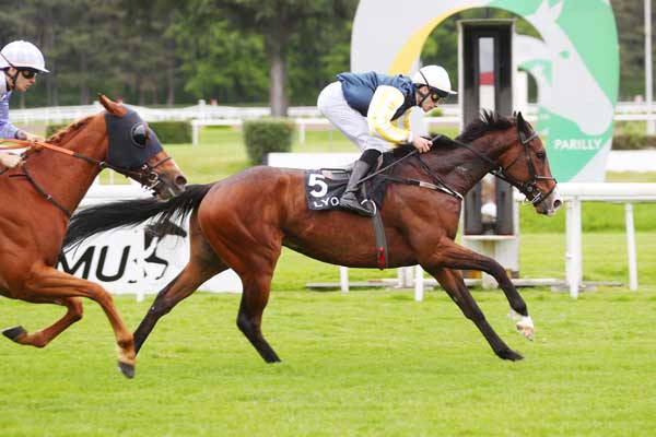 Photo d'arrivée de la course pmu PRIX LES SAMEDIS A PARILLY - PRIX DU PARC DE LA TETE D'OR à LYON PARILLY le Mercredi 8 mai 2024