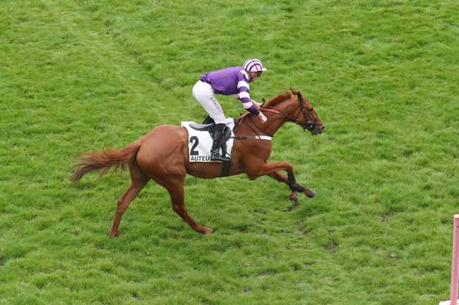 Photo d'arrivée de la course pmu PRIX MIROR à AUTEUIL le Mercredi 8 mai 2024