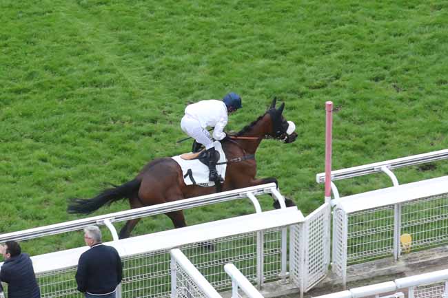 Arrivée quinté pmu PRIX DU NIVERNAIS à AUTEUIL