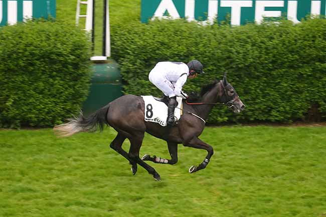 Photo d'arrivée de la course pmu PRIX JEAN DE LA ROCHEFOUCAULD à AUTEUIL le Mercredi 8 mai 2024