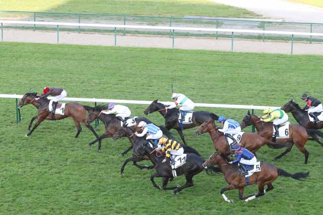 Photo d'arrivée de la course pmu PRIX DU GROS CAILLOU à LONGCHAMP le Jeudi 9 mai 2024