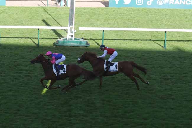 Photo d'arrivée de la course pmu PRIX DU PETIT MONTROUGE à LONGCHAMP le Jeudi 16 mai 2024