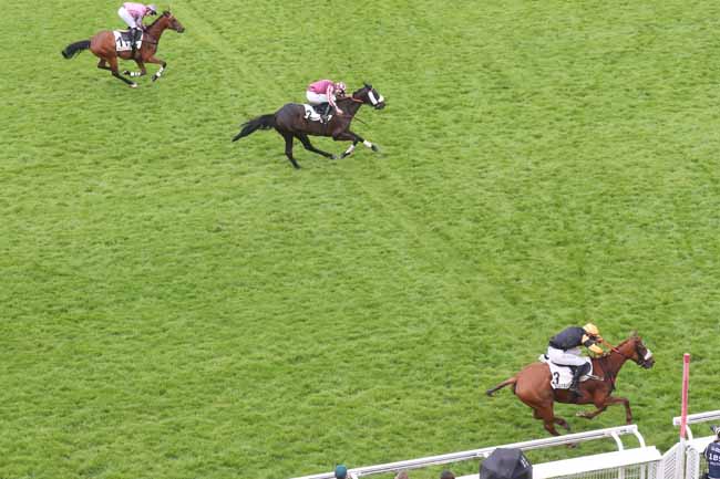 Arrivée quinté pmu PRIX MISTI à AUTEUIL