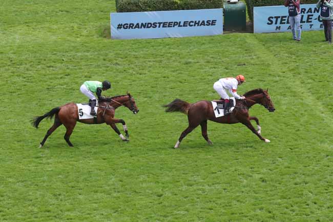 Photo d'arrivée de la course pmu PRIX HOPE - PRIX AGUADO à AUTEUIL le Dimanche 19 mai 2024