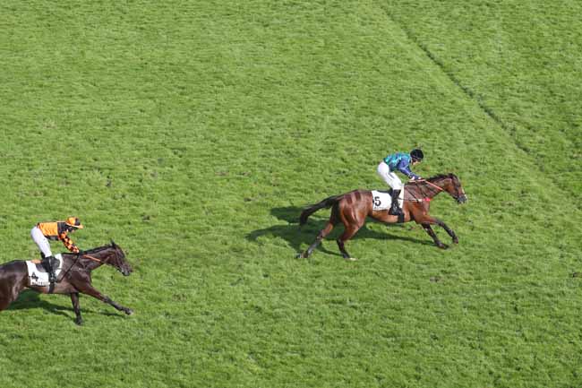 Photo d'arrivée de la course pmu PRIX ALAIN DU BREIL - COURSE DE HAIES DE PRINTEMPS DES QUATRE ANS à AUTEUIL le Dimanche 19 mai 2024